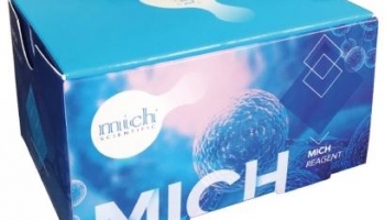 mich 體外蛋白表達試劑盒